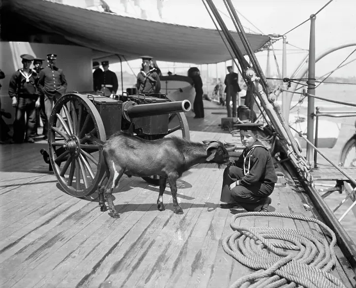 Framed Print : U.S.S. New York, Admiral Sampson's son and Pitch the mascot, (1899?). Creator: Unknown. U.S.S. New York, Admiral Sampson's son and Pitch the mascot, (1899?). Creator: Unknown Framed Print : U.S.S. New York, Admiral Sampson's son and Pitch the mascot, (1899?). Creator: Unknown. U.S.S. New York, Admiral Sampson's son and Pitch the mascot, (1899?). Creator: Unknown