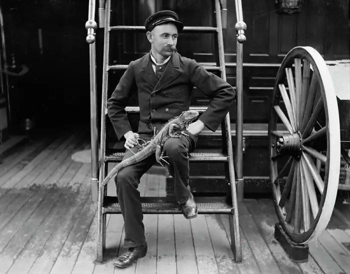 Framed Print : U.S.S. New York, Admiral Sampson's steward and his pet, between 1893 and 1901. Creator: Edward H Hart Framed Print : U.S.S. New York, Admiral Sampson's steward and his pet, between 1893 and 1901. Creator: Edward H Hart