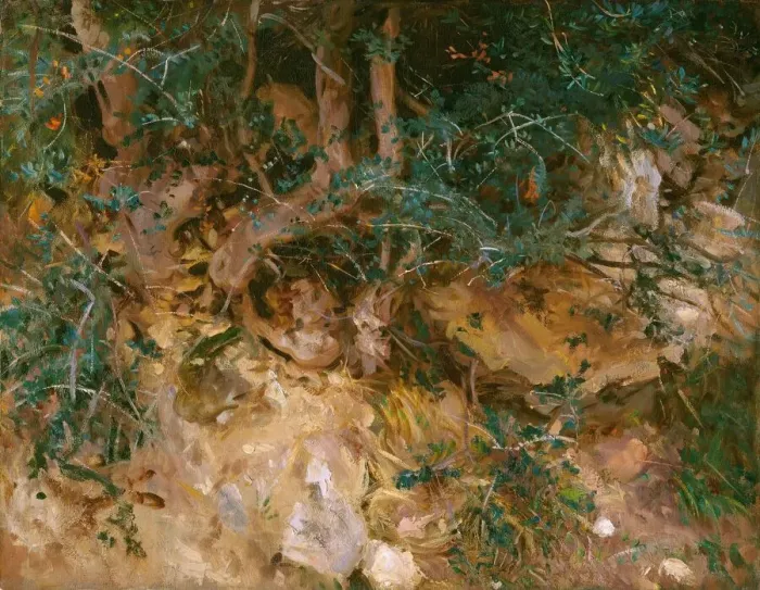 Framed Print : Valdemosa, Majorca: Thistles and Herbage on a Hillside, 1908 Framed Print : Valdemosa, Majorca: Thistles and Herbage on a Hillside, 1908