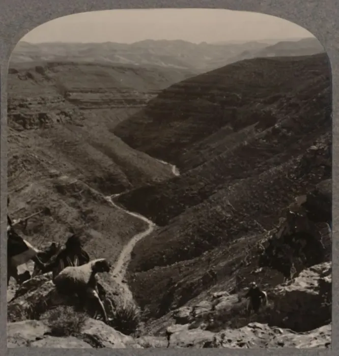 Framed Print : Valley of the Arno, shepherd and sheep in foreground, c1900 Framed Print : Valley of the Arno, shepherd and sheep in foreground, c1900