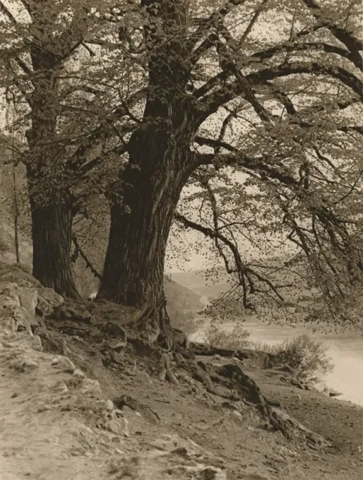 Framed Print : In the Valley of the Nab, 1931. Artist: Kurt Hielscher Framed Print : In the Valley of the Nab, 1931. Artist: Kurt Hielscher