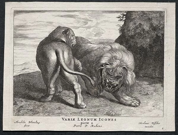 Various Lions. Creator: Abraham Blooteling (Dutch, 1640-1690)