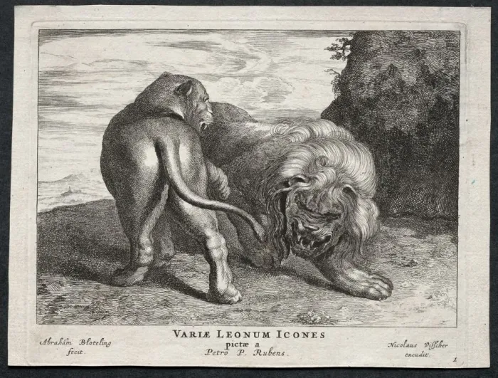 Framed Print : Various Lions. Creator: Abraham Blooteling (Dutch, 1640-1690)
