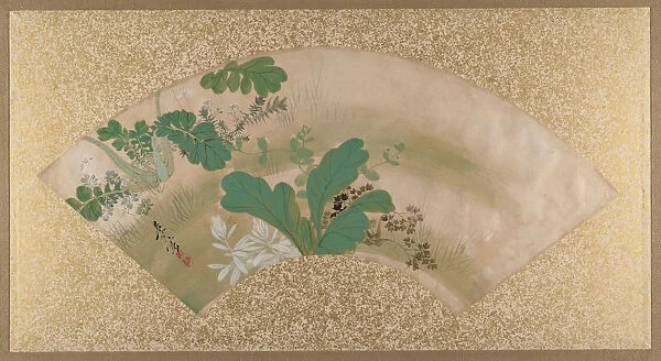 Various Plants and Grass, late 19th century. Creator: Shibata Zeshin