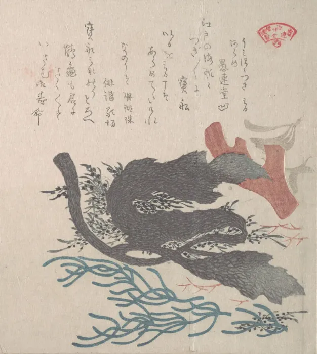 Framed Print : Various Seaweed, 19th century. Creator: Kubo Shunman Framed Print : Various Seaweed, 19th century. Creator: Kubo Shunman