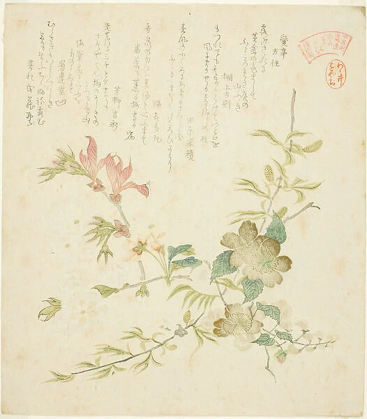 Various Spring Flowers, from the series 'Springtime Plants and Trees for the Kasumi Poe... c. 1820. Creator: Kubo Shunman
