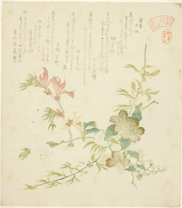 Framed Print : Various Spring Flowers, from the series Springtime Plants and Trees for the Kasumi Poe... c. 1820. Creator: Kubo Shunman Framed Print : Various Spring Flowers, from the series Springtime Plants and Trees for the Kasumi Poe... c. 1820. Creator: Kubo Shunman