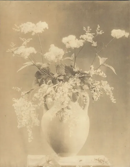 Framed Print : Vase of Flowers, 1860s. Creator: Unknown Framed Print : Vase of Flowers, 1860s. Creator: Unknown