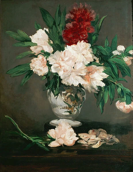 Vase de pivoines sur piédouche, 1864. Creator: Manet, Édouard (1832-1883)