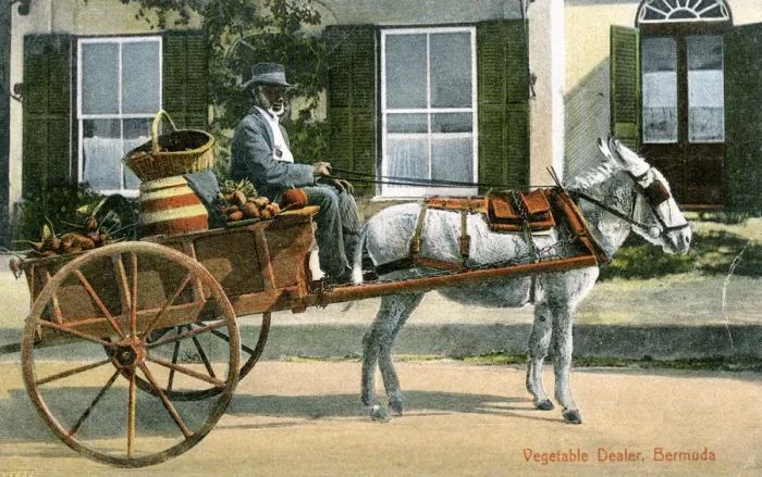 Framed Print : A vegetable dealer, Bermuda, c1900s Framed Print : A vegetable dealer, Bermuda, c1900s