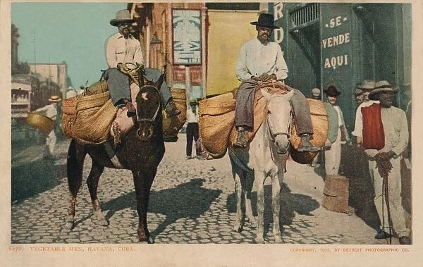 Vegetable Men, Havana, Cuba, 1904