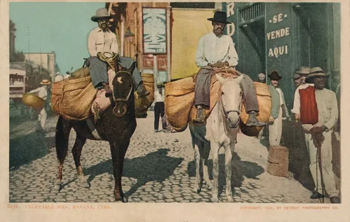 Framed Print : Vegetable Men, Havana, Cuba, 1904 Framed Print : Vegetable Men, Havana, Cuba, 1904