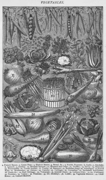 Framed Print : Vegetables, 1907, (1907) Framed Print : Vegetables, 1907, (1907)