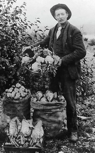 Vegetables, between c1900 and c1930. Creator: Unknown