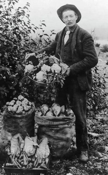 Framed Print : Vegetables, between c1900 and c1930. Creator: Unknown