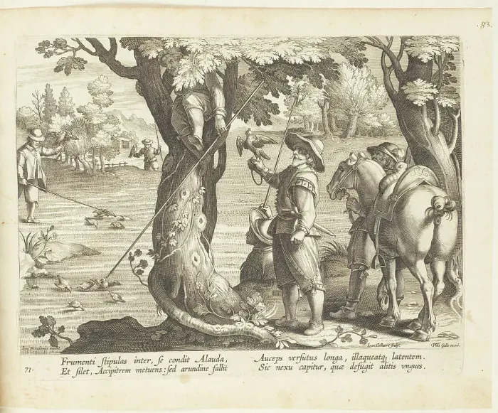 Framed Print : Venationes ferarum, avium, piscium (Hunts of wild animals, birds and fish). Plate 71, 1596. Creator: Hans Collaert the Younger Framed Print : Venationes ferarum, avium, piscium (Hunts of wild animals, birds and fish). Plate 71, 1596. Creator: Hans Collaert the Younger