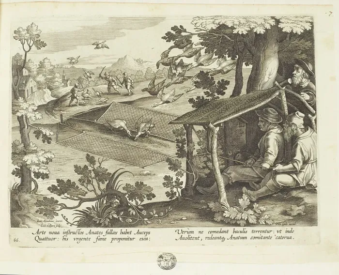 Framed Print : Venationes ferarum, avium, piscium (Hunts of wild animals, birds and fish). Plate 66, 1596. Creator: Hans Collaert the Younger Framed Print : Venationes ferarum, avium, piscium (Hunts of wild animals, birds and fish). Plate 66, 1596. Creator: Hans Collaert the Younger