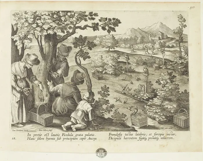 Framed Print : Venationes ferarum, avium, piscium (Hunts of wild animals, birds and fish). Plate 68, 1596. Creator: Hans Collaert the Younger Framed Print : Venationes ferarum, avium, piscium (Hunts of wild animals, birds and fish). Plate 68, 1596. Creator: Hans Collaert the Younger