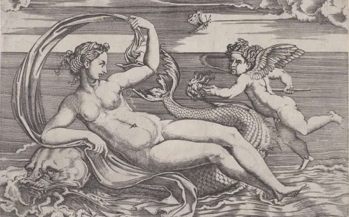 Framed Print : Venus Reclining on a Dolphin, ca. 1516. Creator: Agostino Veneziano Framed Print : Venus Reclining on a Dolphin, ca. 1516. Creator: Agostino Veneziano