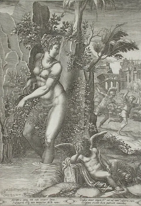 Framed Print : Venus and the Rose, 1556. Creators: Giorgio Ghisi, Luca Penni Framed Print : Venus and the Rose, 1556. Creators: Giorgio Ghisi, Luca Penni