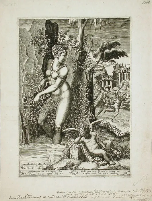Framed Print : Venus and the Rose, 1564. Creators: Gaspare Osello, Giorgio Ghisi Framed Print : Venus and the Rose, 1564. Creators: Gaspare Osello, Giorgio Ghisi