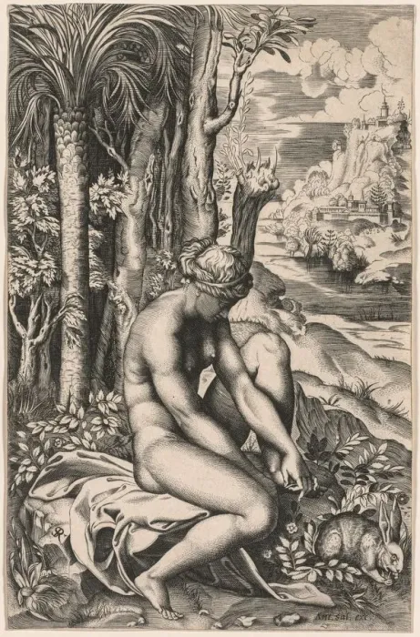 Framed Print : Venus Wounded by a Roses Thorn, c. 1516 Framed Print : Venus Wounded by a Roses Thorn, c. 1516