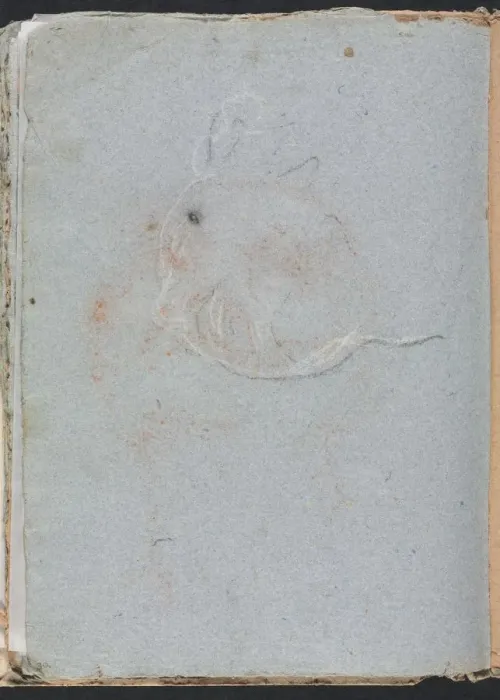 Framed Print : Verona Sketchbook: Head (page 30), 1760. Creator: Francesco Lorenzi (Italian, 1723-1787) Framed Print : Verona Sketchbook: Head (page 30), 1760. Creator: Francesco Lorenzi (Italian, 1723-1787)