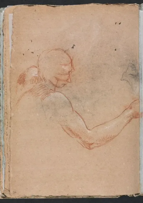 Framed Print : Verona Sketchbook: Nude with head and right arm (page 36), 1760. Creator: Francesco Lorenzi Framed Print : Verona Sketchbook: Nude with head and right arm (page 36), 1760. Creator: Francesco Lorenzi