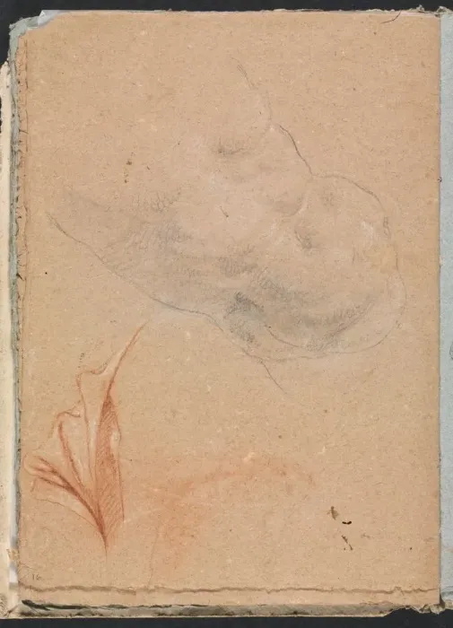 Framed Print : Verona Sketchbook: Nude male torso with drapery (page 16), 1760. Creator: Francesco Lorenzi Framed Print : Verona Sketchbook: Nude male torso with drapery (page 16), 1760. Creator: Francesco Lorenzi