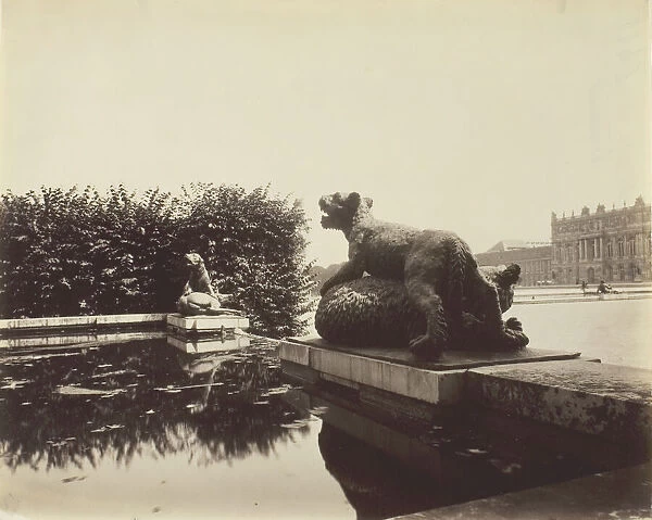 Versailles, Fontaine du Point du Jour, (Tigre Terrassant un Ours par Houzeau), 1903. Creator: Eugene Atget