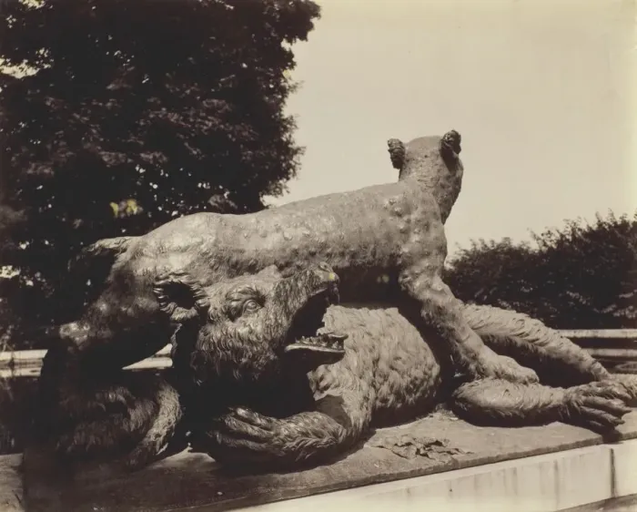 Framed Print : Versailles, Fontaine du Point du Jour, (Tigre Terrassant un Ours par Houzeau), 1903. Creator: Eugene Atget Framed Print : Versailles, Fontaine du Point du Jour, (Tigre Terrassant un Ours par Houzeau), 1903. Creator: Eugene Atget