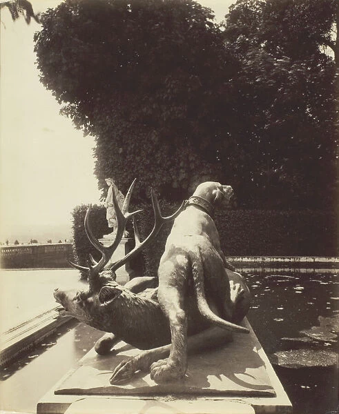 Versailles, Fontaine de Point du Jour, (Limier Abattant un Cerf par Houzeau), 1903
