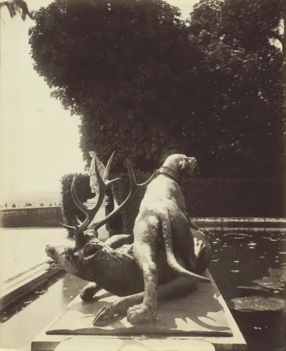 Framed Print : Versailles, Fontaine de Point du Jour, (Limier Abattant un Cerf par Houzeau), 1903. Creator: Eugene Atget Framed Print : Versailles, Fontaine de Point du Jour, (Limier Abattant un Cerf par Houzeau), 1903. Creator: Eugene Atget