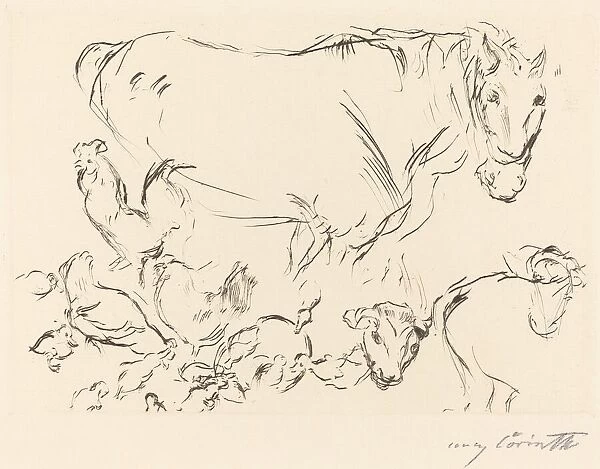 Verschiedene Tierstudien (Animal Studies), 1917. Creator: Lovis Corinth