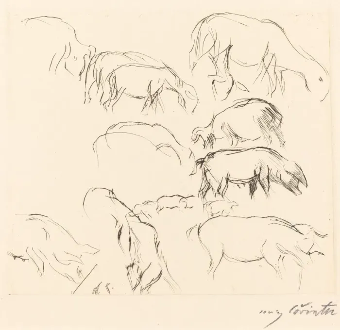 Framed Print : Verschiedene Tierstudien (Animal Studies), 1917. Creator: Lovis Corinth Framed Print : Verschiedene Tierstudien (Animal Studies), 1917. Creator: Lovis Corinth