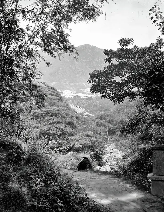 Framed Print : Victoria Peak, Hong Kong, 1868 / 1871. Creator: John Thomson Framed Print : Victoria Peak, Hong Kong, 1868 / 1871. Creator: John Thomson