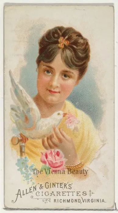 Framed Print : The Vienna Beauty, from Worlds Beauties, Series 1 (N26) for Allen & Framed Print : The Vienna Beauty, from Worlds Beauties, Series 1 (N26) for Allen &