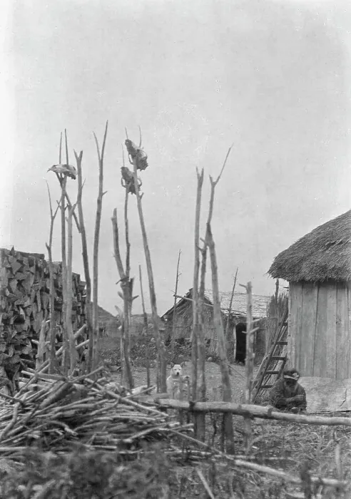 Framed Print : View of Ainu village with ceremonial poles, 1908. Creator: Arnold Genthe Framed Print : View of Ainu village with ceremonial poles, 1908. Creator: Arnold Genthe