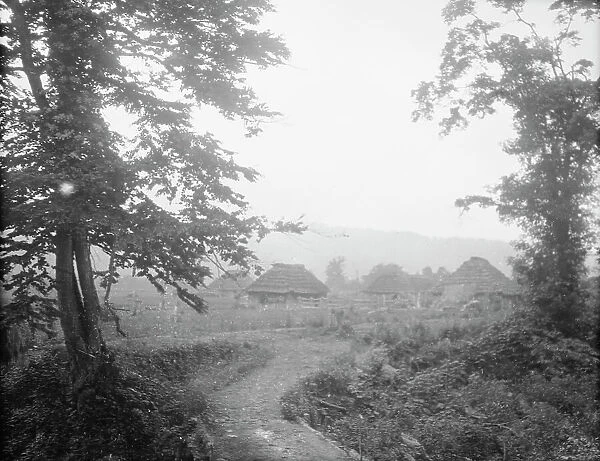 View of Ainu village beyond trees, 1908. Creator: Arnold Genthe
