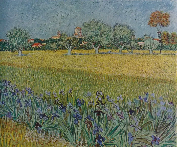 Framed Print : View of Ales with Irises in Bloom, 1888. Artist: Vincent van Gogh Framed Print : View of Ales with Irises in Bloom, 1888. Artist: Vincent van Gogh