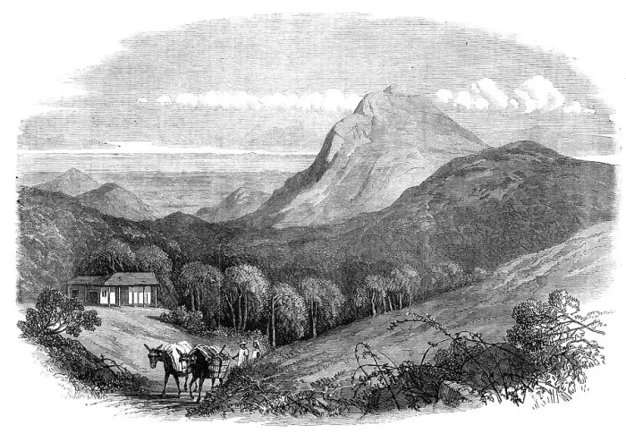 Framed Print : View of the Bay of Rio de Janeiro, from the Heights of the Emperor, near Petropolis, 1868. Creator: Unknown Framed Print : View of the Bay of Rio de Janeiro, from the Heights of the Emperor, near Petropolis, 1868. Creator: Unknown