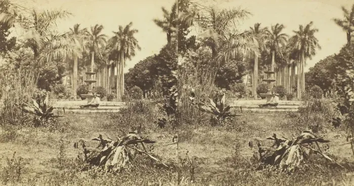 Framed Print : View at the Bishops Garden, Havana, 1860. Creator: Anthony & Company Framed Print : View at the Bishops Garden, Havana, 1860. Creator: Anthony & Company