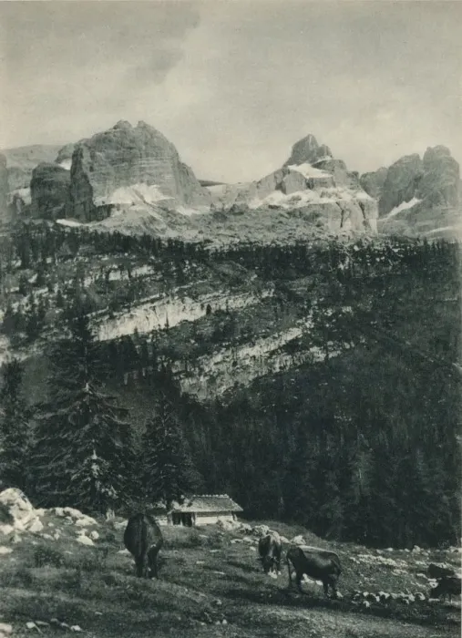 Framed Print : View of the Brenta Group with alpine pasture, Madonna di Campiglio, Dolomites, Italy, 1927. Artist: Eugen Poppel Framed Print : View of the Brenta Group with alpine pasture, Madonna di Campiglio, Dolomites, Italy, 1927. Artist: Eugen Poppel