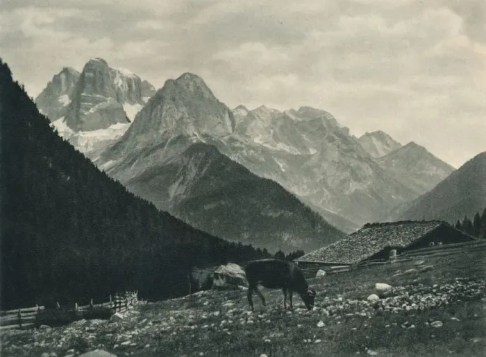 Framed Print : View of the Brenta Group with alpine pasture, Madonna di Campiglio, Dolomites, Italy, 1927. Artist: Eugen Poppel Framed Print : View of the Brenta Group with alpine pasture, Madonna di Campiglio, Dolomites, Italy, 1927. Artist: Eugen Poppel