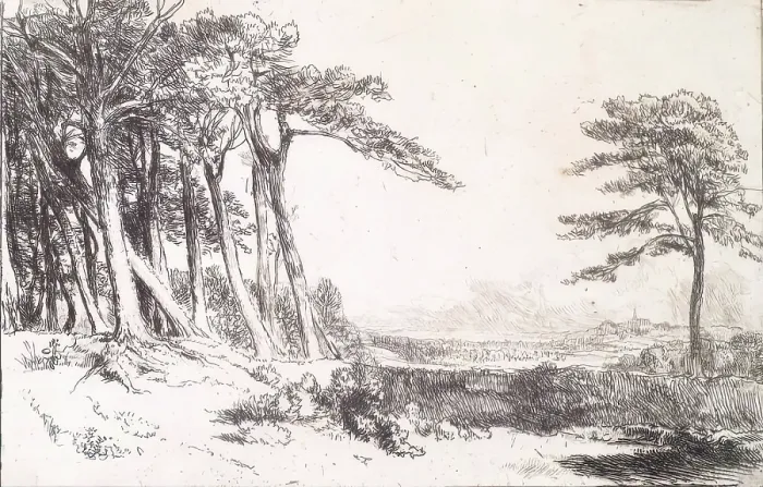 Framed Print : View in Caen Wood, Hampstead, c1800-1844. Creator: Andrew Geddes Framed Print : View in Caen Wood, Hampstead, c1800-1844. Creator: Andrew Geddes