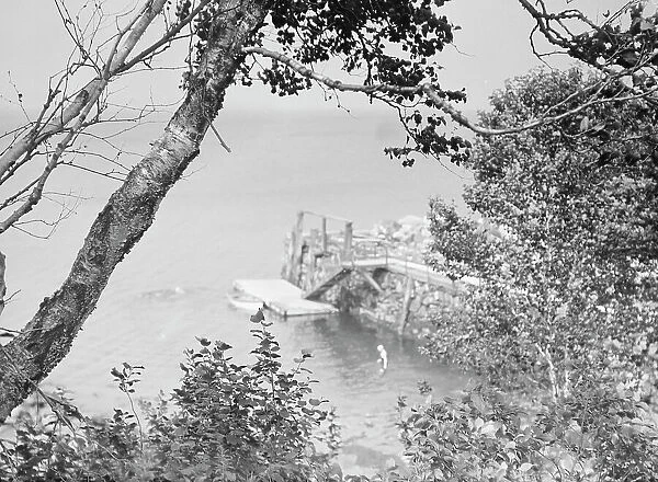 View of the coast off the Baldrige estate, 1931 July 25. Creator: Arnold Genthe