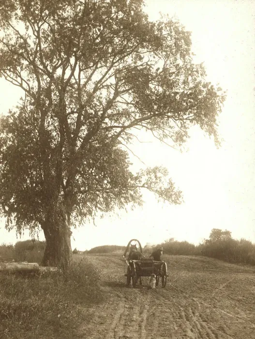 Framed Print : View of a country road near the Budunda Monastery, 1909. Creator: Vladimir Ivanovich Fedorov Framed Print : View of a country road near the Budunda Monastery, 1909. Creator: Vladimir Ivanovich Fedorov
