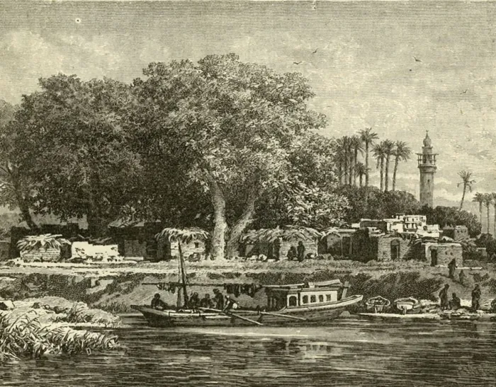 Framed Print : View on the Delta of the Nile, 1890. Creator: Unknown Framed Print : View on the Delta of the Nile, 1890. Creator: Unknown