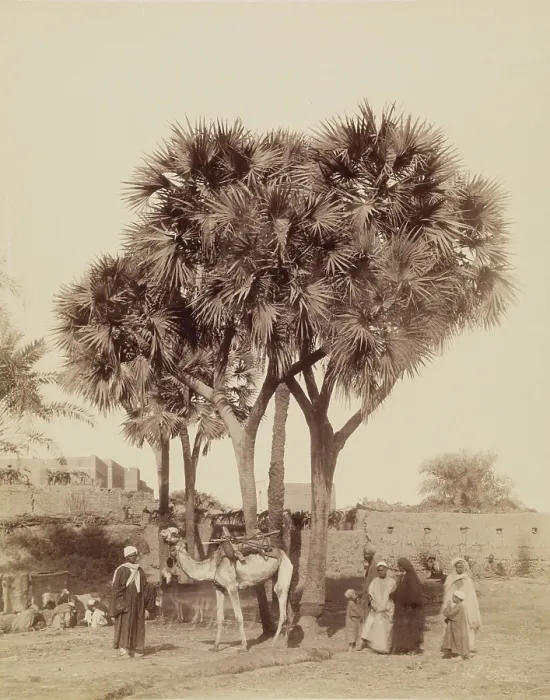 Framed Print : View of an Egyptian Village, 19th century. Creator: Anon Framed Print : View of an Egyptian Village, 19th century. Creator: Anon
