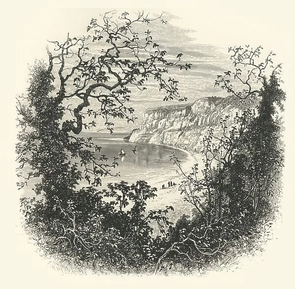 View from the Entrance to Shanklin Chine, c1870